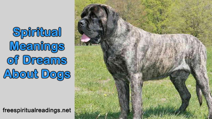 Spiritual Meanings of Dreams About Dogs